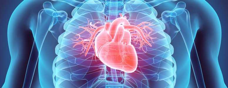 Congestive Heart Failure: Recent Treatments