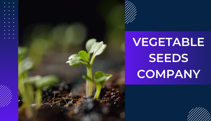 Vegetable Seeds Company in India