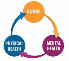 What is Stress is considered the mechanism